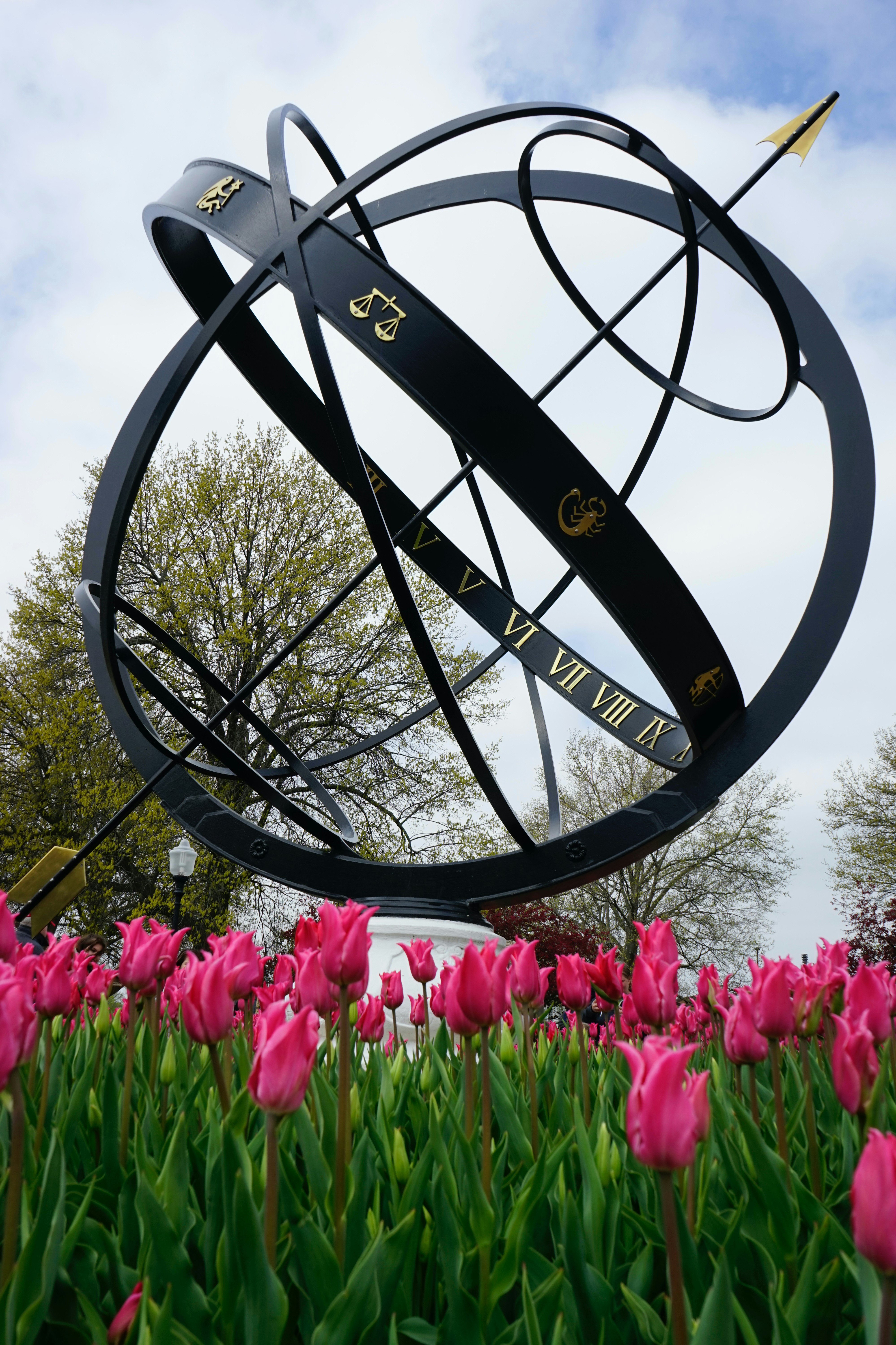 black metal wheel near pink flower field during daytime